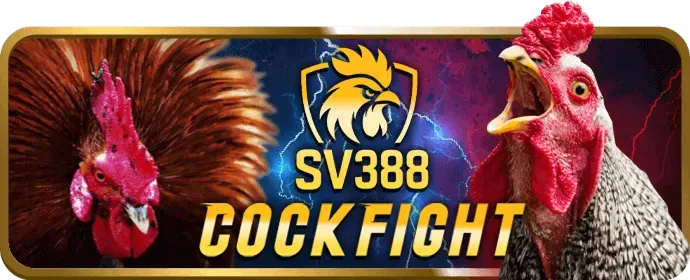 Chương trình VIP và đặc quyền thành viên thân thiết f168n